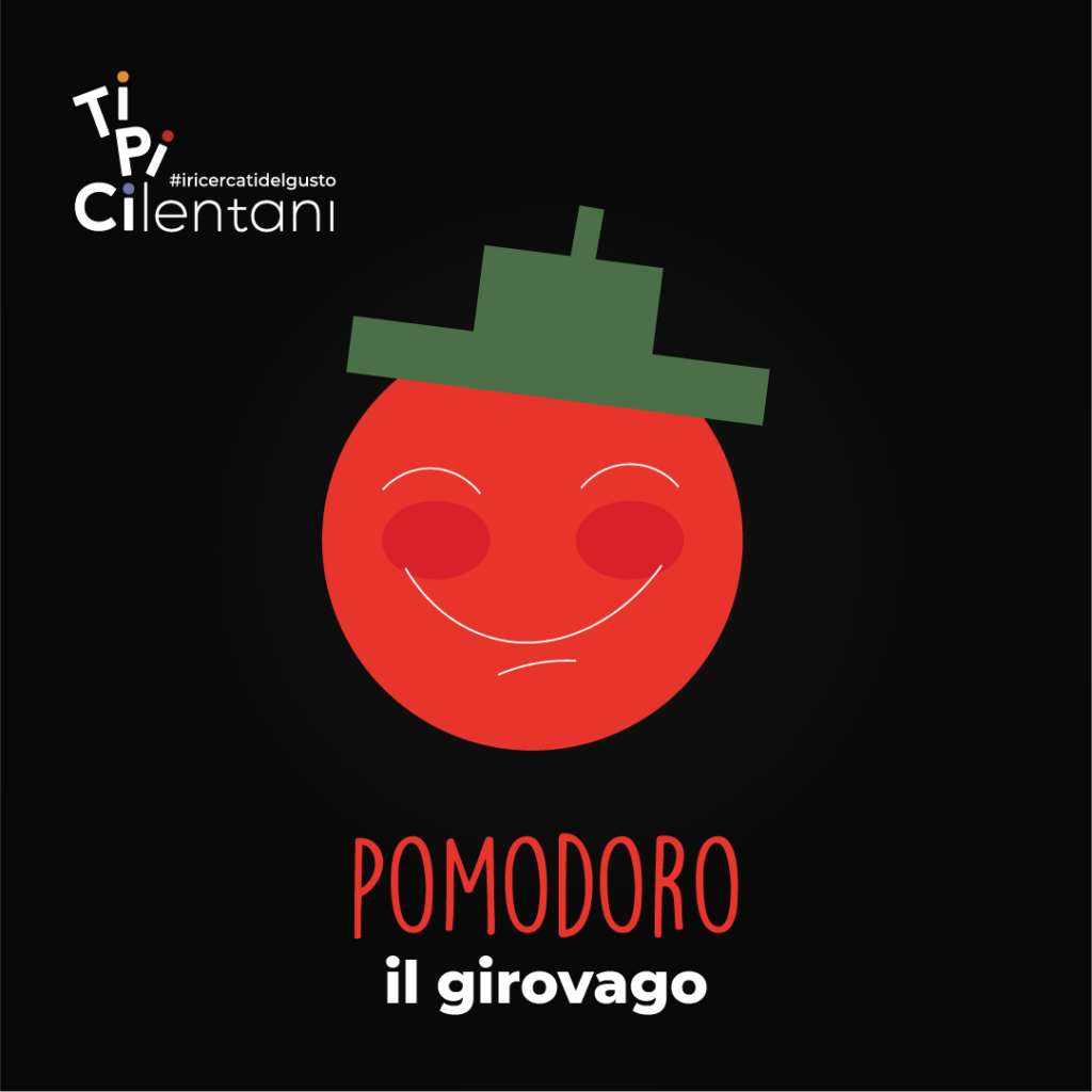 IL GIROVAGO