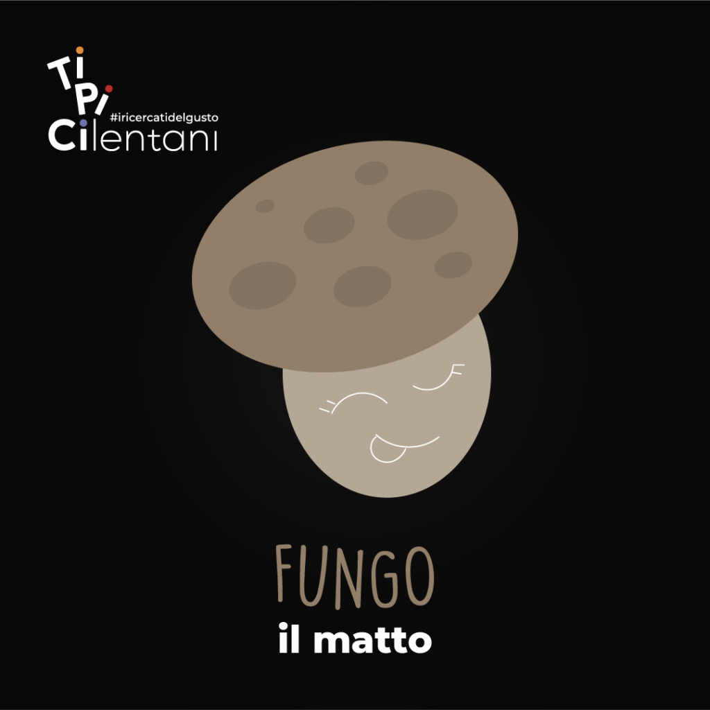 Il Matto