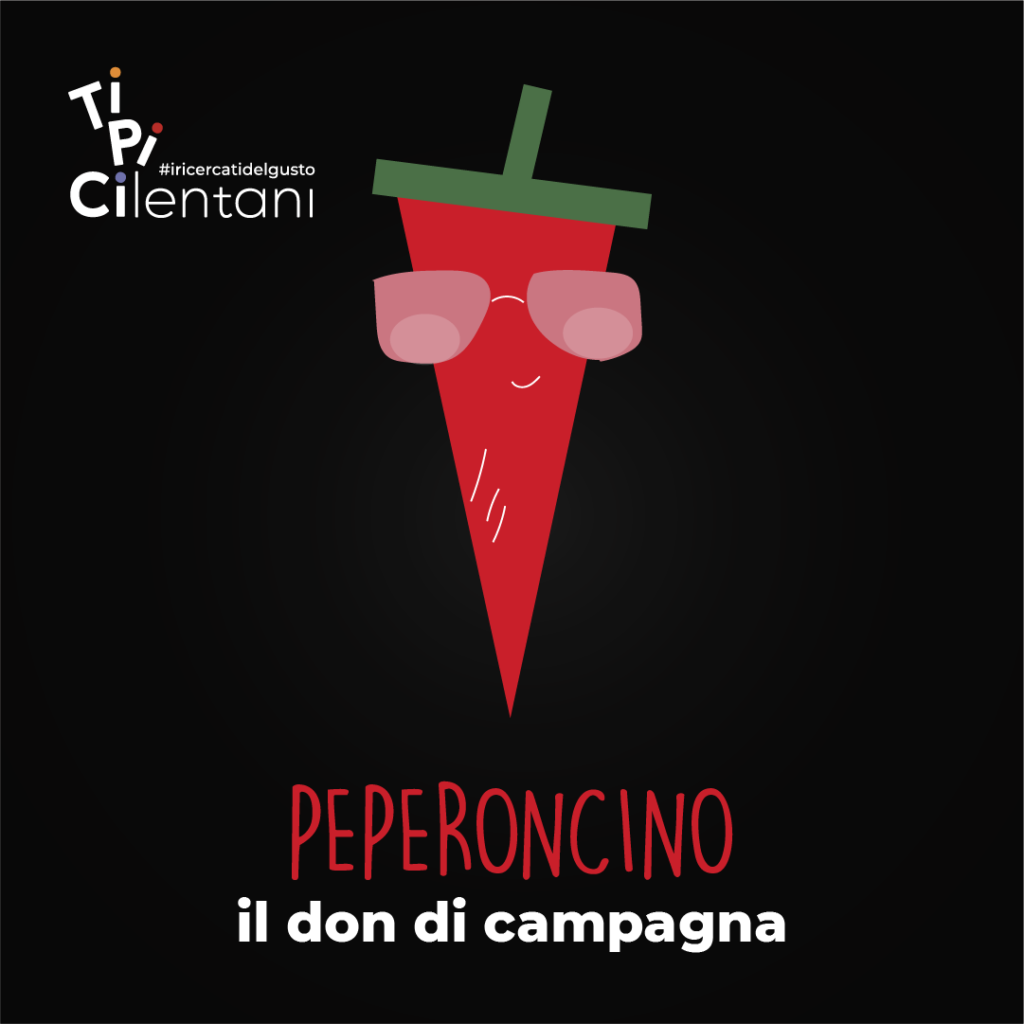 Il Don di Campagna 